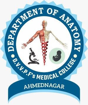 Anatomy Logo